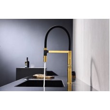 Смеситель для кухни Paulmark Leader Le214101-BG Брашированное золото