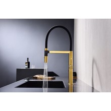 Смеситель для кухни Paulmark Leader Le214101-BG Брашированное золото