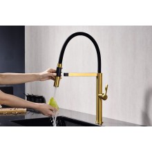 Смеситель для кухни Paulmark Leader Le214101-BG Брашированное золото