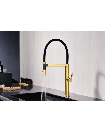 Смеситель для кухни Paulmark Leader Le214101-BG Брашированное золото