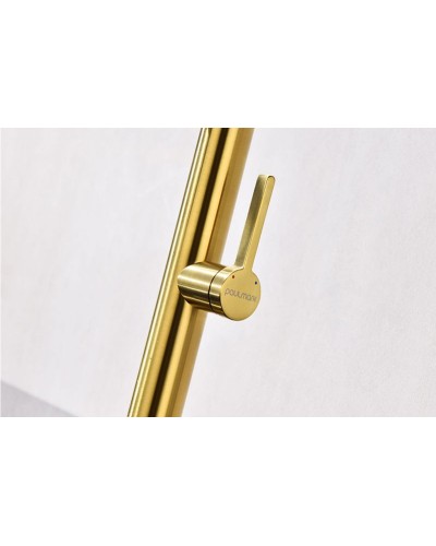 Смеситель для кухни Paulmark Leader Le214101-BG Брашированное золото