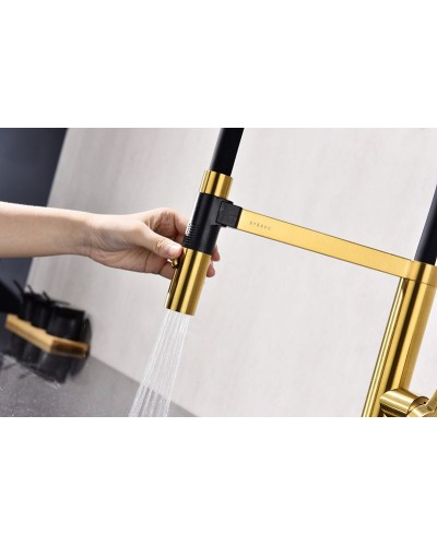 Смеситель для кухни Paulmark Leader Le214101-BG Брашированное золото