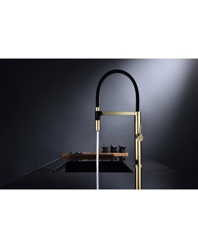 Смеситель для кухни Paulmark Leader Le214101-G Золото