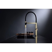 Смеситель для кухни Paulmark Leader Le214101-G Золото