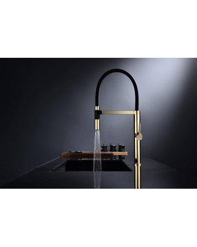 Смеситель для кухни Paulmark Leader Le214101-G Золото