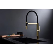 Смеситель для кухни Paulmark Leader Le214101-G Золото