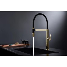 Смеситель для кухни Paulmark Leader Le214101-G Золото