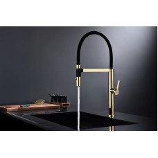 Смеситель для кухни Paulmark Leader Le214101-G Золото