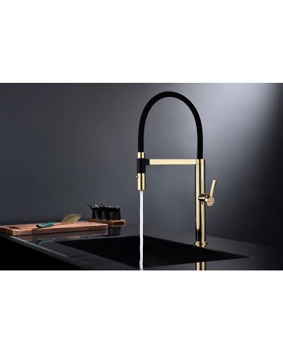 Смеситель для кухни Paulmark Leader Le214101-G Золото