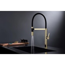 Смеситель для кухни Paulmark Leader Le214101-G Золото