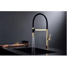 Смеситель для кухни Paulmark Leader Le214101-G Золото