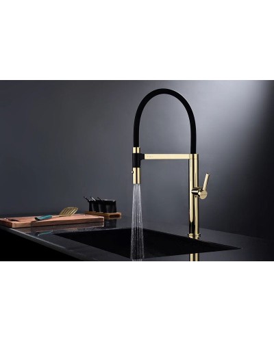 Смеситель для кухни Paulmark Leader Le214101-G Золото