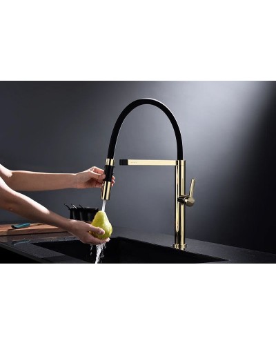 Смеситель для кухни Paulmark Leader Le214101-G Золото