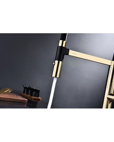 Смеситель для кухни Paulmark Leader Le214101-G Золото