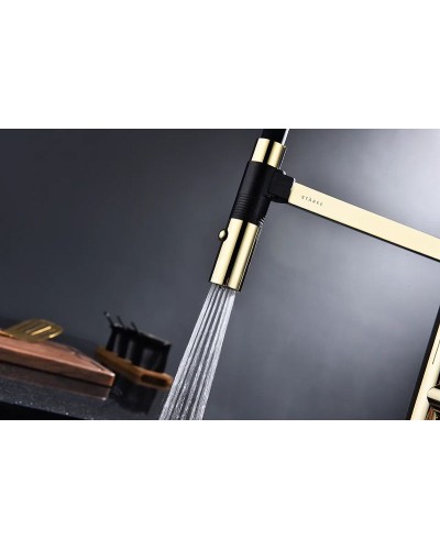 Смеситель для кухни Paulmark Leader Le214101-G Золото