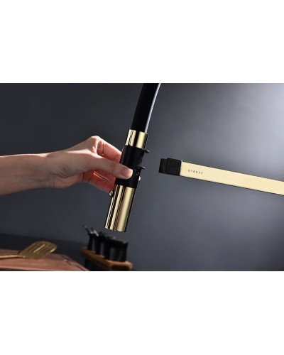 Смеситель для кухни Paulmark Leader Le214101-G Золото