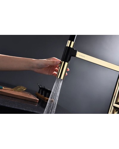 Смеситель для кухни Paulmark Leader Le214101-G Золото