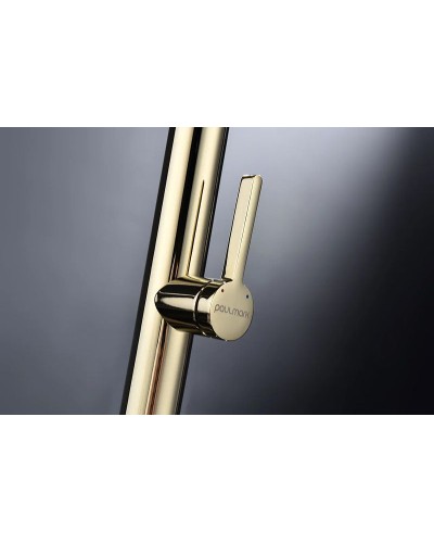 Смеситель для кухни Paulmark Leader Le214101-G Золото