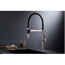 Смеситель для кухни Paulmark Leader Le214101-NI Никель