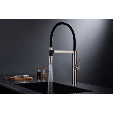 Смеситель для кухни Paulmark Leader Le214101-NI Никель