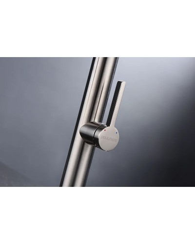 Смеситель для кухни Paulmark Leader Le214101-NI Никель