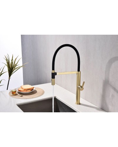 Смеситель для кухни Paulmark Leader Le214101-SBG Светлое брашированное золото