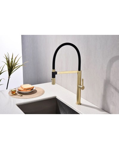 Смеситель для кухни Paulmark Leader Le214101-SBG Светлое брашированное золото