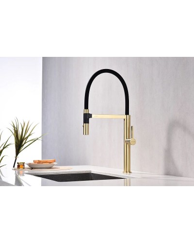 Смеситель для кухни Paulmark Leader Le214101-SBG Светлое брашированное золото