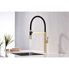 Смеситель для кухни Paulmark Leader Le214101-SBG Светлое брашированное золото