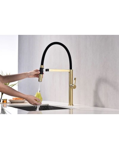 Смеситель для кухни Paulmark Leader Le214101-SBG Светлое брашированное золото