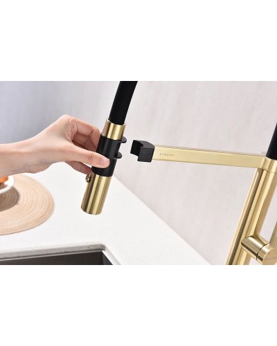 Смеситель для кухни Paulmark Leader Le214101-SBG Светлое брашированное золото