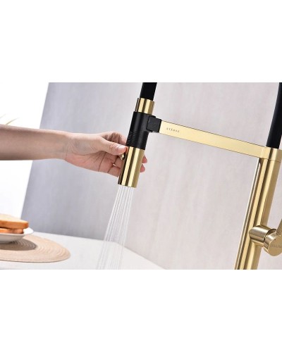 Смеситель для кухни Paulmark Leader Le214101-SBG Светлое брашированное золото