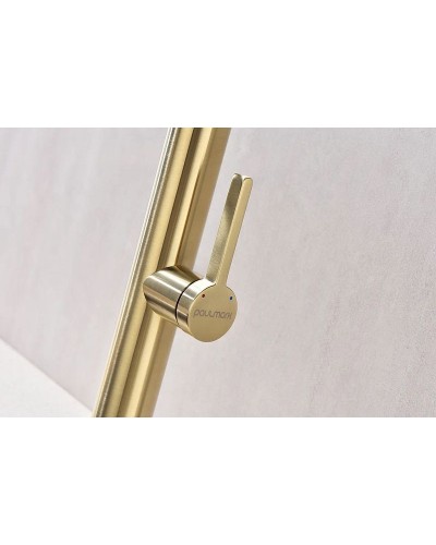 Смеситель для кухни Paulmark Leader Le214101-SBG Светлое брашированное золото