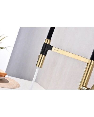 Смеситель для кухни Paulmark Leader Le214101-SBG Светлое брашированное золото