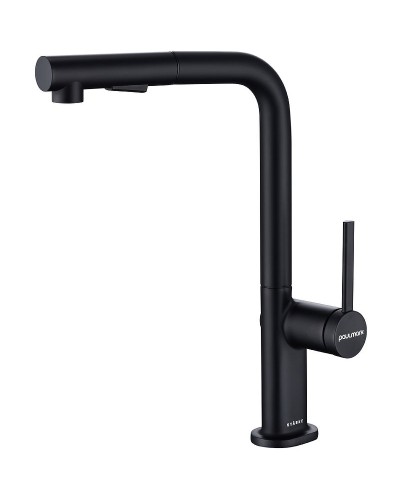 Смеситель для кухни Paulmark Neo Ne214419-401 Антрацит