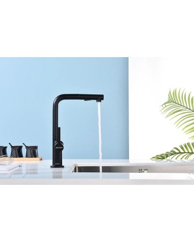 Смеситель для кухни Paulmark Neo Ne214419-401 Антрацит