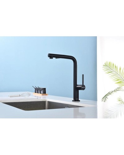 Смеситель для кухни Paulmark Neo Ne214419-401 Антрацит