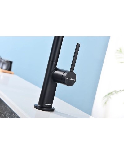 Смеситель для кухни Paulmark Neo Ne214419-401 Антрацит