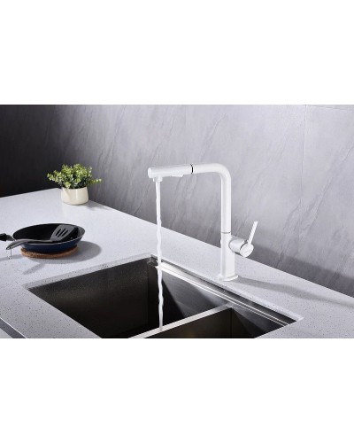 Смеситель для кухни Paulmark Neo Ne214419-431 Белый матовый