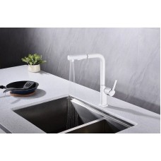 Смеситель для кухни Paulmark Neo Ne214419-431 Белый матовый