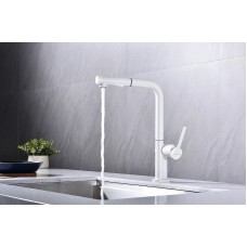 Смеситель для кухни Paulmark Neo Ne214419-431 Белый матовый