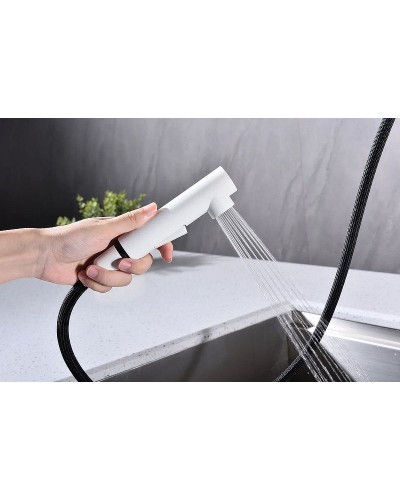 Смеситель для кухни Paulmark Neo Ne214419-431 Белый матовый