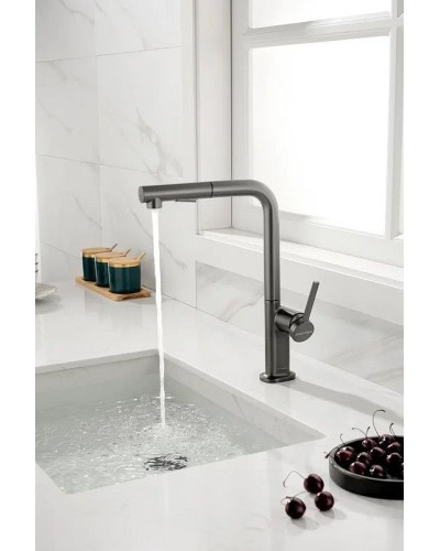 Смеситель для кухни Paulmark Neo Ne214419-B Беретта