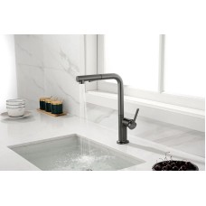 Смеситель для кухни Paulmark Neo Ne214419-B Беретта