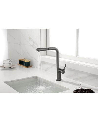 Смеситель для кухни Paulmark Neo Ne214419-B Беретта