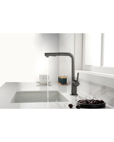 Смеситель для кухни Paulmark Neo Ne214419-B Беретта