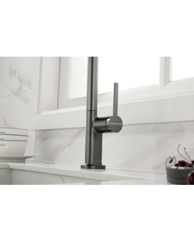 Смеситель для кухни Paulmark Neo Ne214419-B Беретта