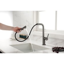 Смеситель для кухни Paulmark Neo Ne214419-B Беретта