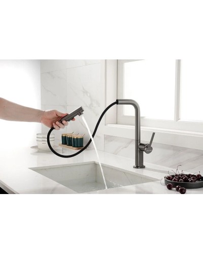 Смеситель для кухни Paulmark Neo Ne214419-B Беретта