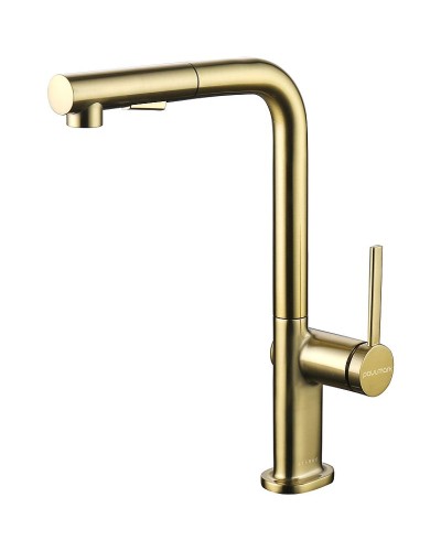 Смеситель для кухни Paulmark Neo Ne214419-BG Брашированное золото